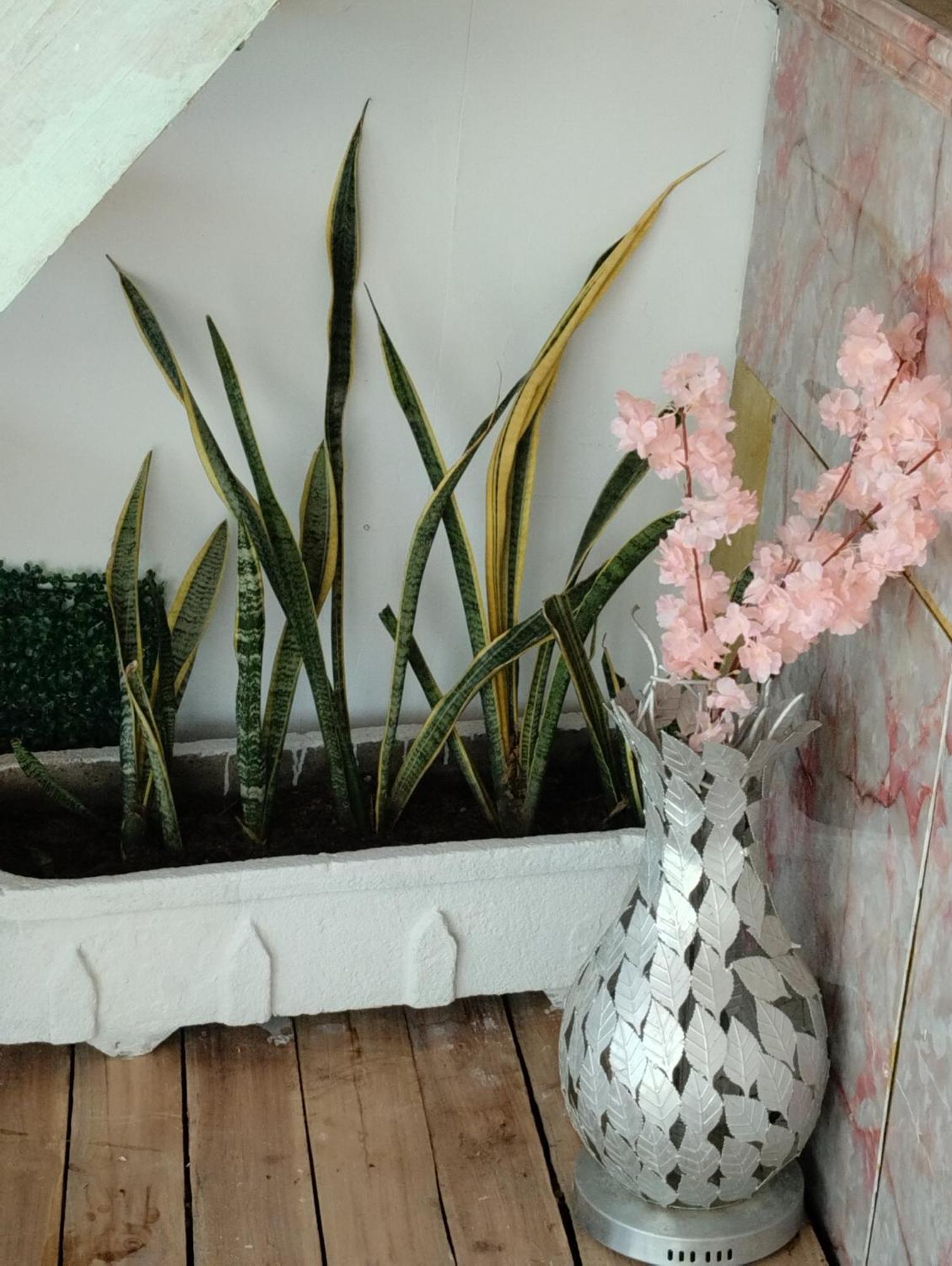 Hostal Lamar Baru Donde Gertrudis Playa Blanca Dış mekan fotoğraf