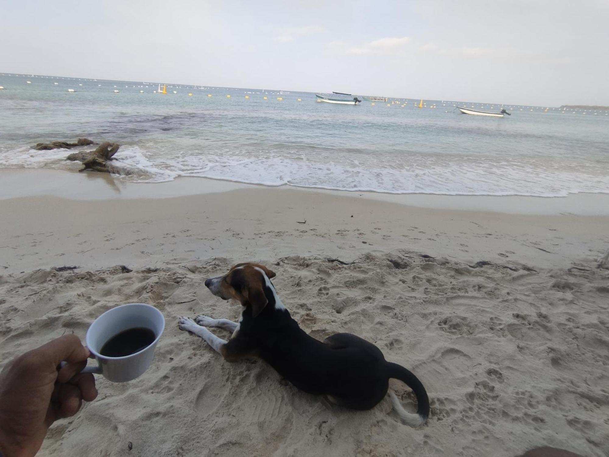 Hostal Lamar Baru Donde Gertrudis Playa Blanca Dış mekan fotoğraf